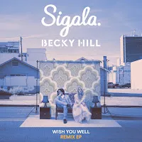 Sigala — Wish You Well (Benny Benassi Remix) Ft Becky Hill — обложка